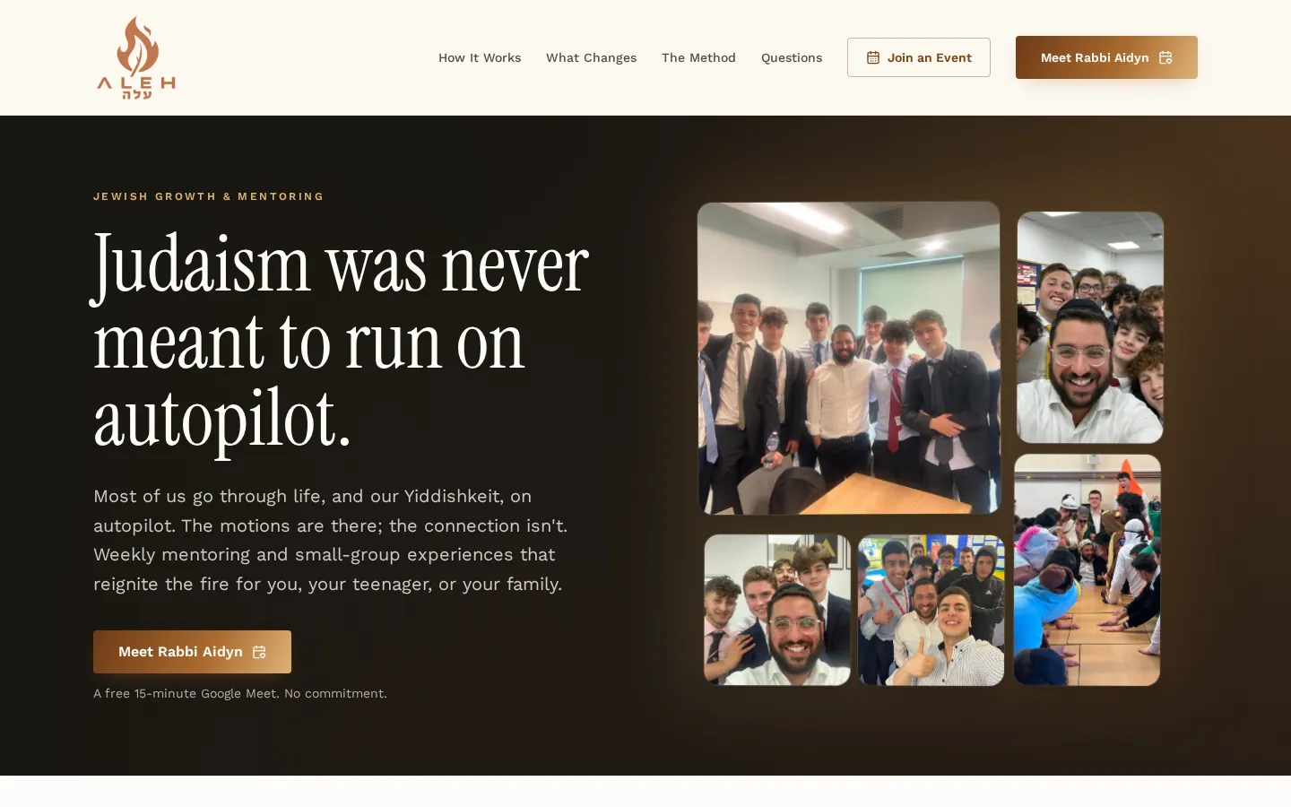 Aleh live site preview